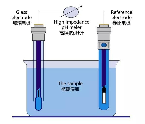 The role of electrode